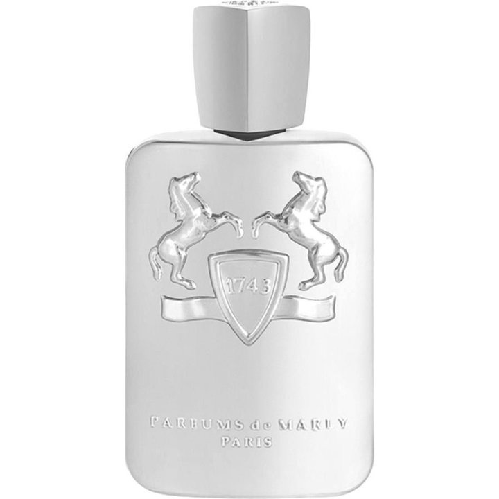 Parfums De Marly Galloway - Erkek Parfüm