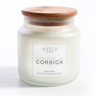 AMBIANCE DE CORSICA – MUSKY & MIMOSA MUM XL – 450 GR