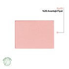 POWDER BLUSH REFILL