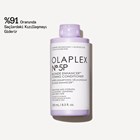 No. 5P BLONDE ENHANCER TONING CONDITIONER