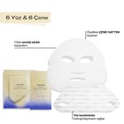 VITAL PERFECTION LIFTDEFINE RADIANCE FACE MASK
