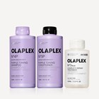 THE BLONDE & GREY HAIR-STRENGTHENING SYSTEM